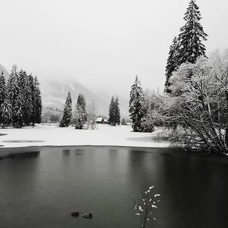 Chamonix, De 24 M2 * 霞慕尼